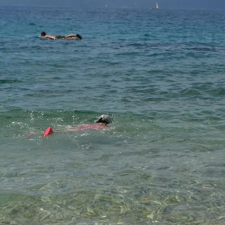 Jure Trogir